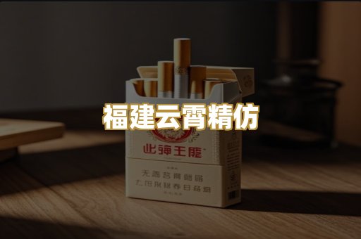福建云霄精仿